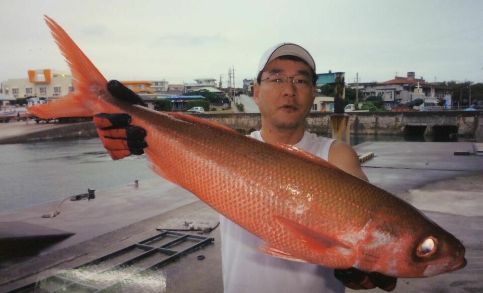 Vackert är det här världsrekordexemplaret på Rubyfish som väger 3997 gram och fångades utanför Yonaguni Island, Japan Bild: IGFA