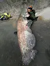 Nej, det är ingå små fiskar det handlar om...