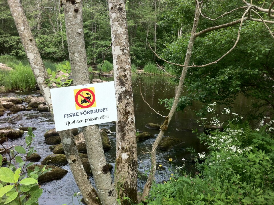 Även om du inte ser en sådan här skylt vid det vatten du tänkt fiska i – ta reda på vilka regler som gäller. (Foto: Morgan Fihn)