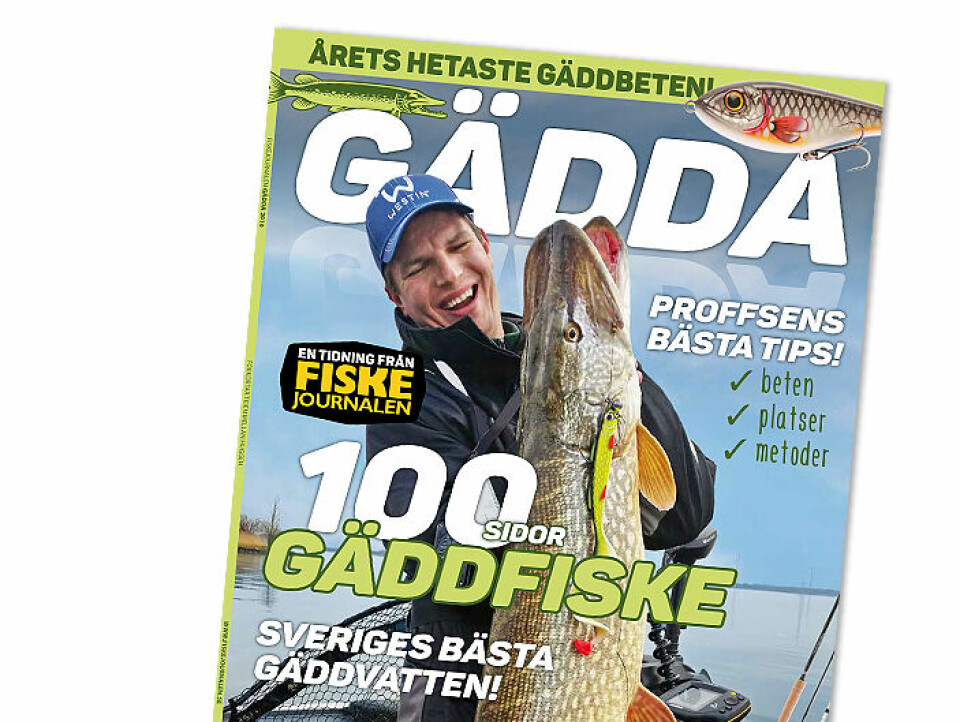100 sidor om Sveriges populäraste sportfisk.