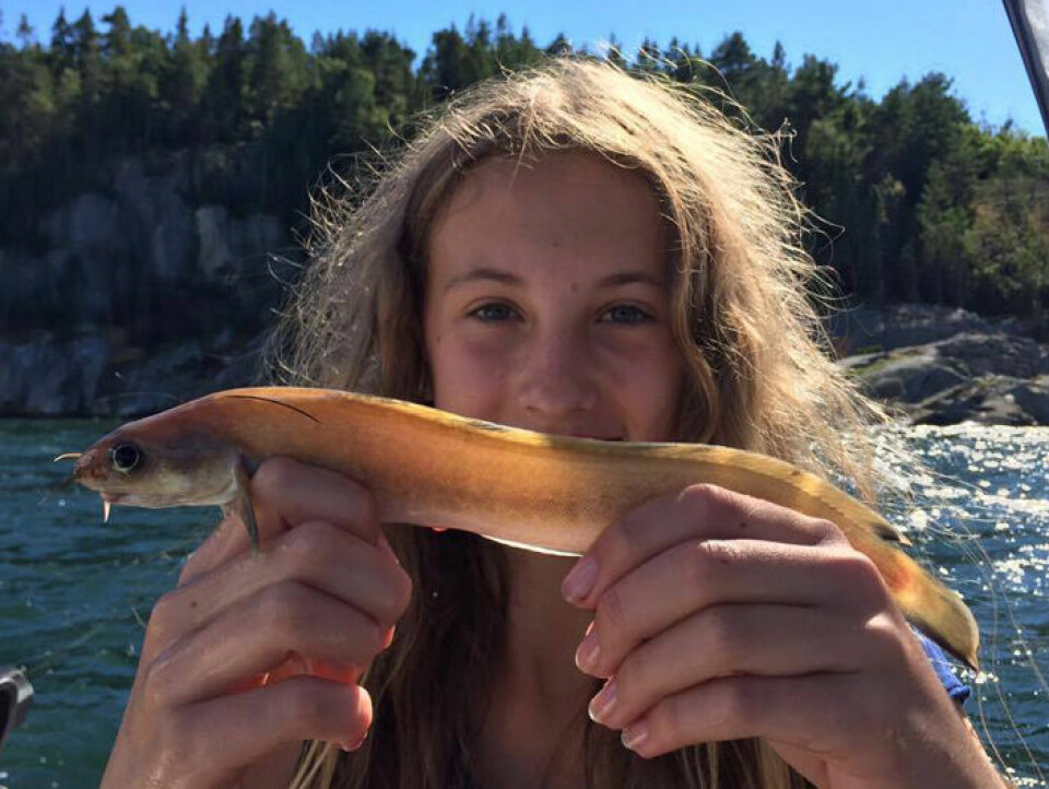 Vilma Örnskov tog den tredje fyrtömmade skärlångan som någonsin tagits på sportfiske i Sverige. Spektakulärt!