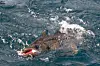 Maximera ditt fiskeäventyr i Norge: Spinnfiske efter bleka