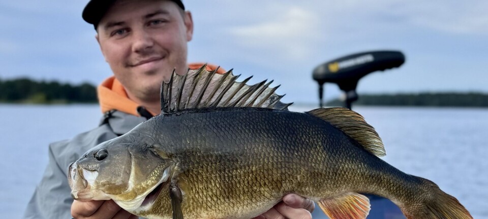 Jinsiy aloqa shaytonning ishi Uyda MMF shaxsiy video