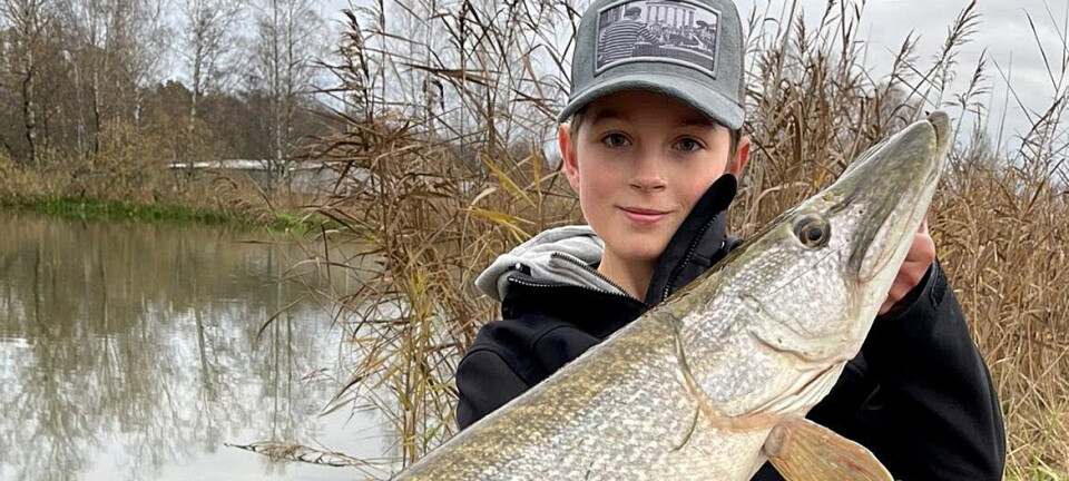 Porno talaba katta kokrak video Qattiq shim kiygan qizning pornosini tomosha qiling