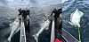 Stor vit haj vid sidan av en båt på havet med vågor och fiskeredskap synliga.
