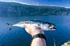 En hand håller upp en silverglänsande fisk framför en fjord med berg i bakgrunden.